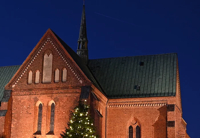 Dom mit Weihnachtbsaum