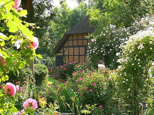 Blick durch den Rosengarten auf das reetgedeckte Dithmarscher Bauernhaus