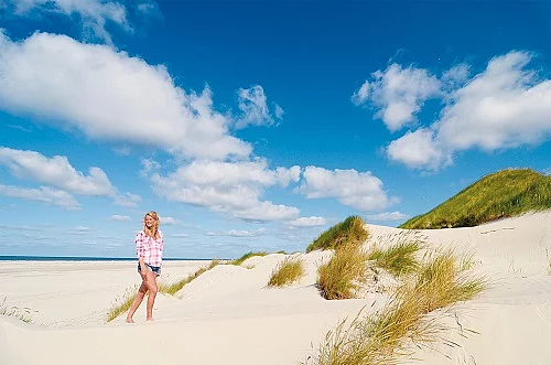 Strand Amrum