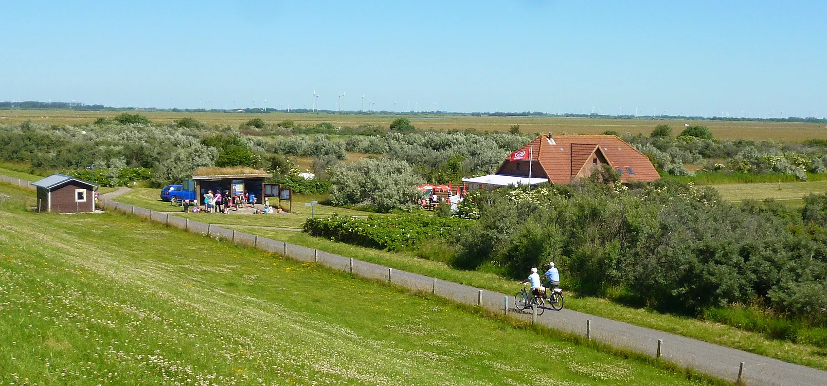 Radfahrer am Deich in Nordermeldorf