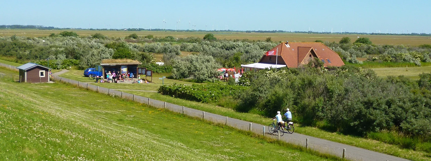 Radfahrer am Deich in Nordermeldorf