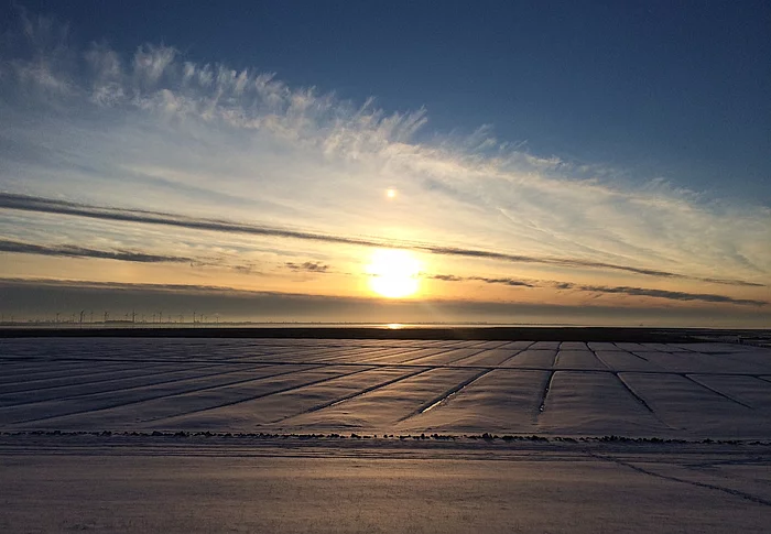 Helmsand Sonnenuntergang über dem Wattenmeer