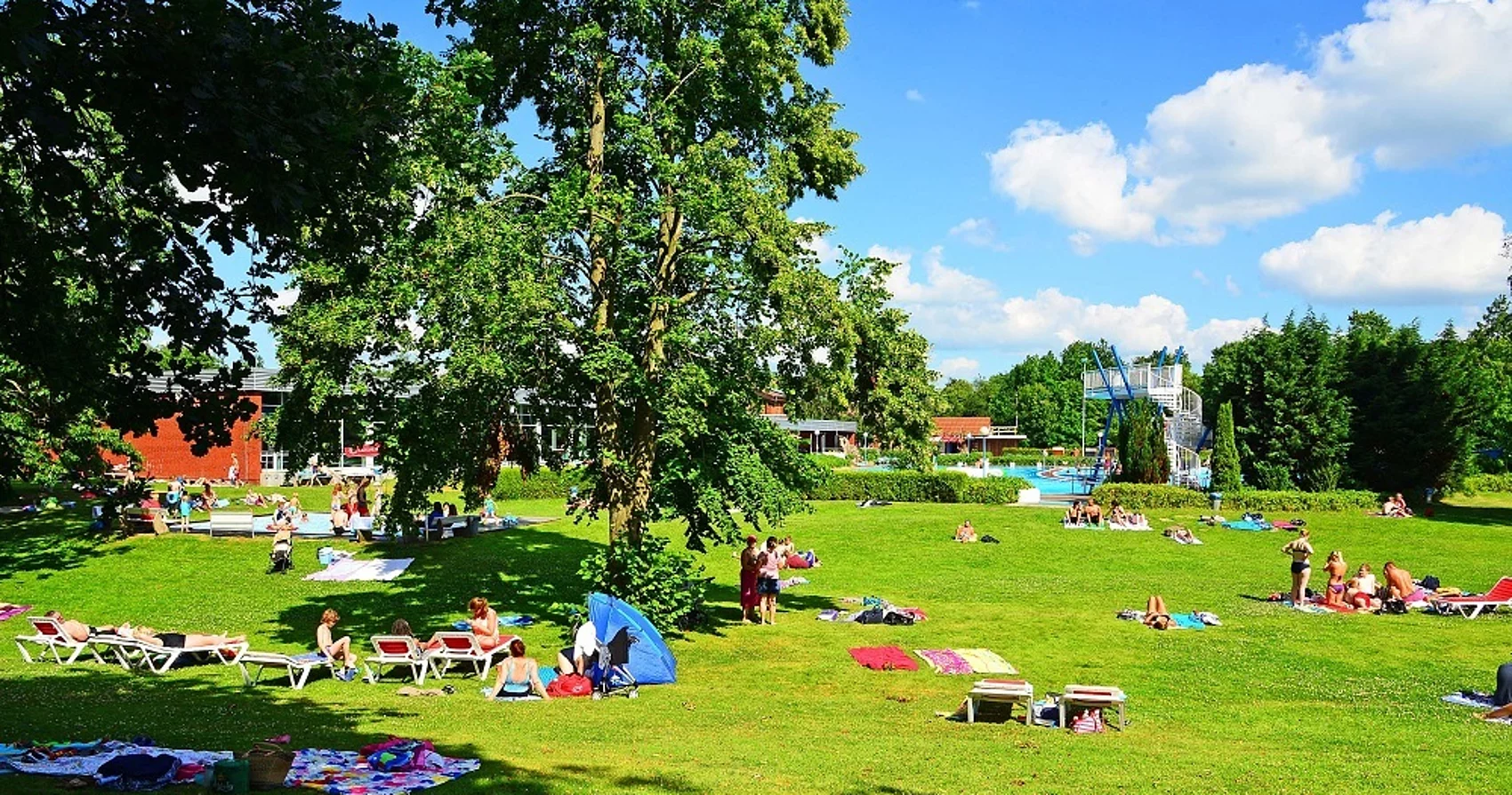 Liegewiese im Freibad Meldorf