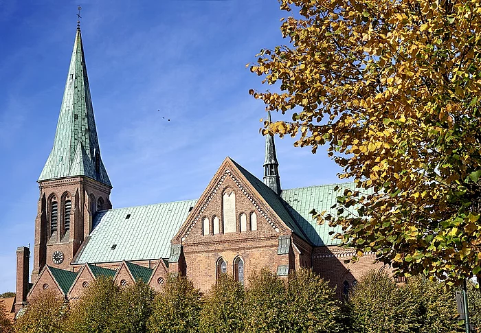 Dom mit blauem Himmel und Bäumen mit Herbstlaub im Vordergrund