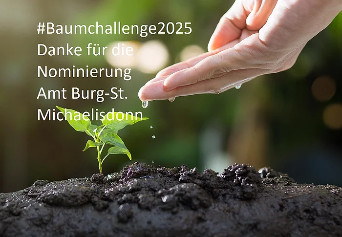 Baumchallenge